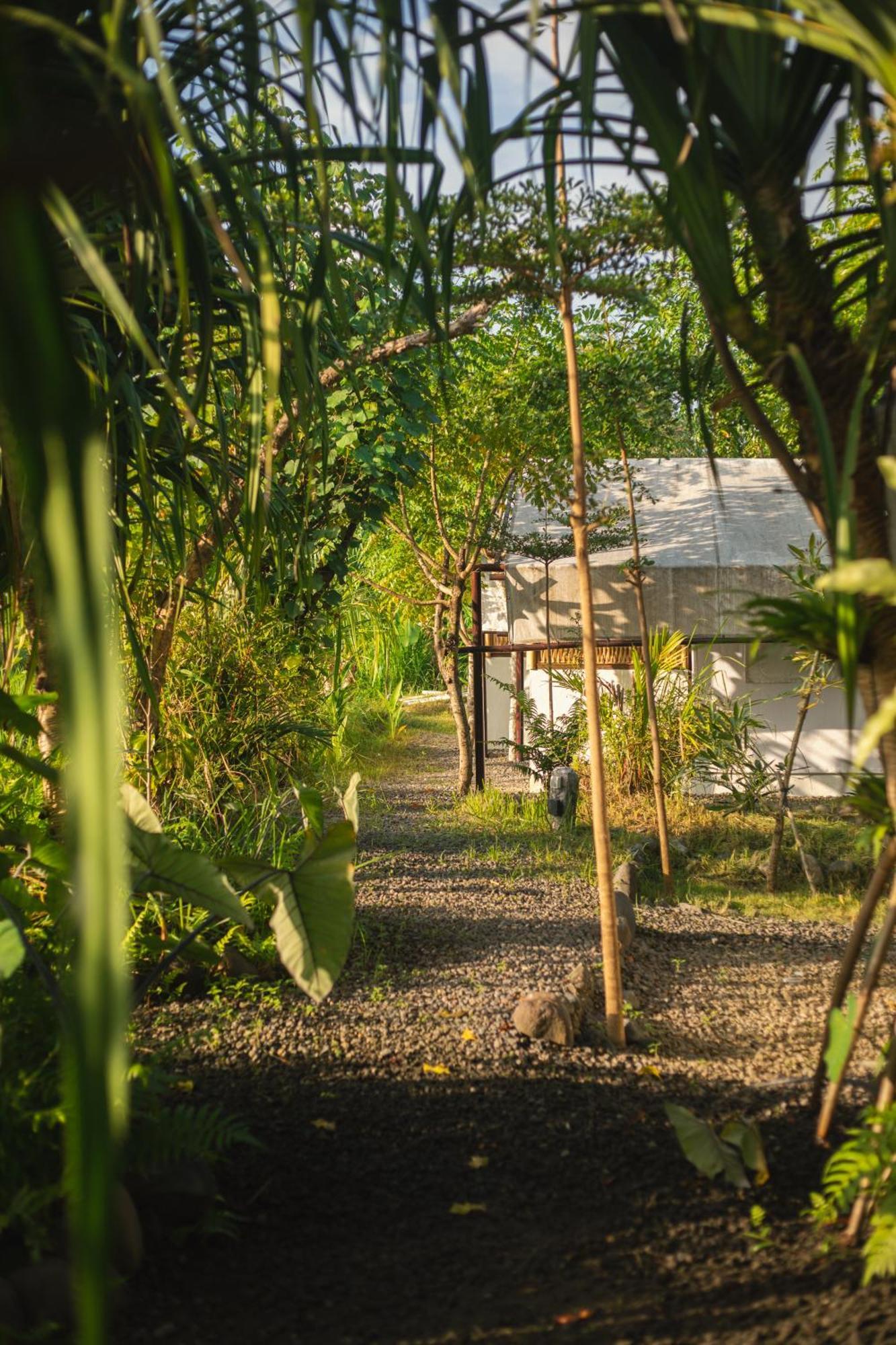 Camani Glamping Hotel Karangasem Buitenkant foto