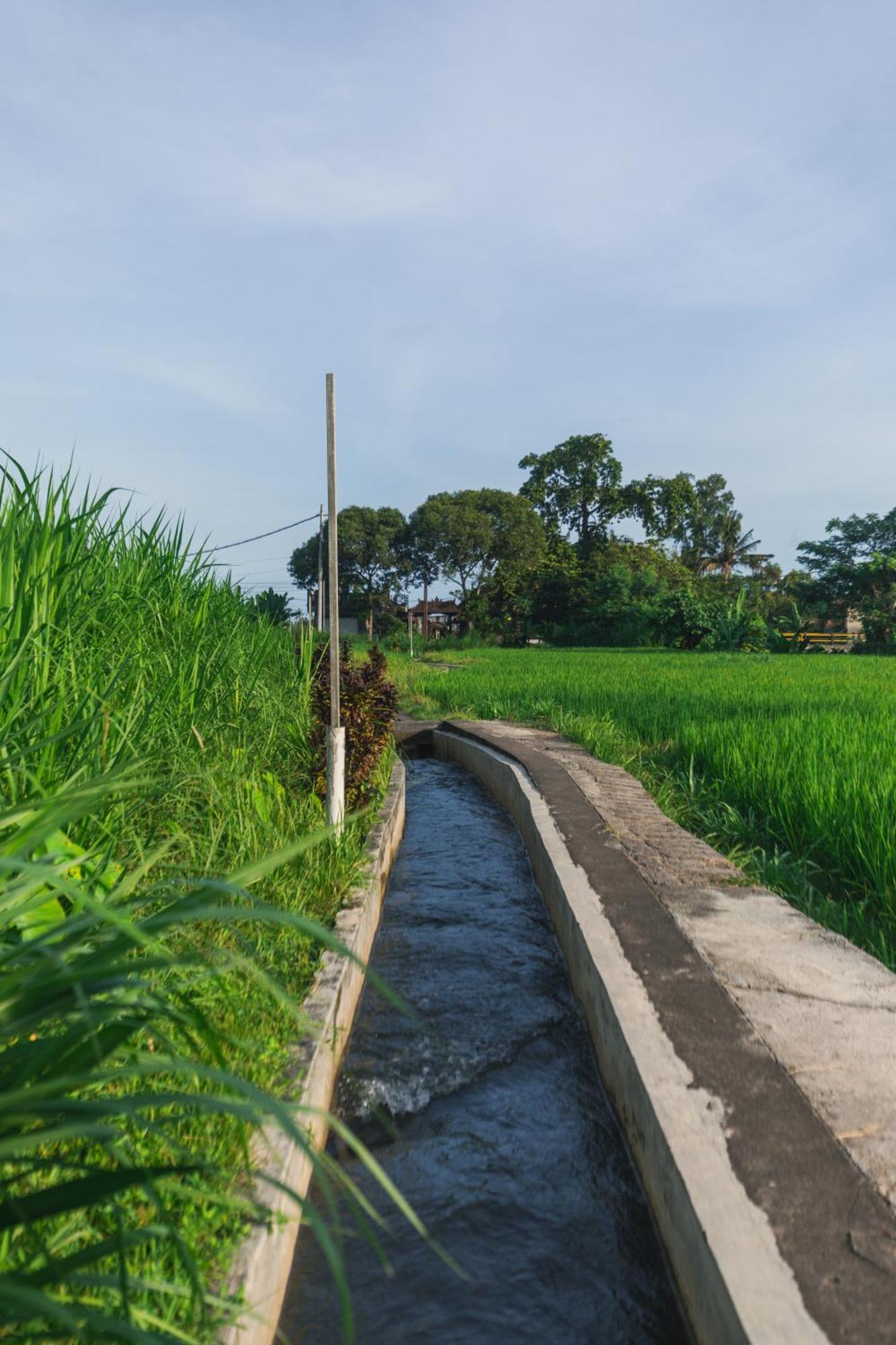 Camani Glamping Hotel Karangasem Buitenkant foto