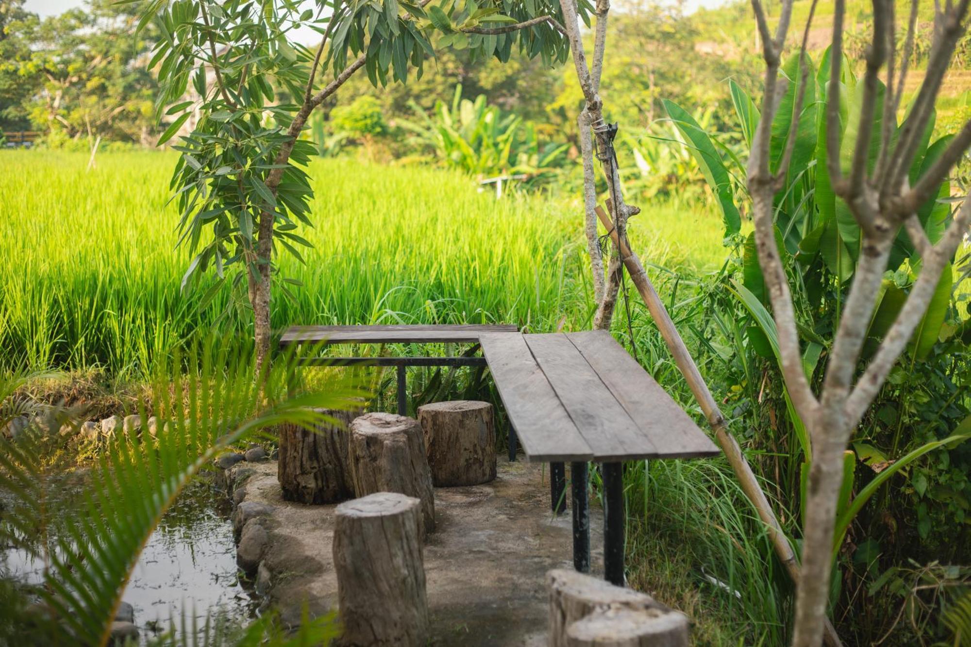 Camani Glamping Hotel Karangasem Buitenkant foto
