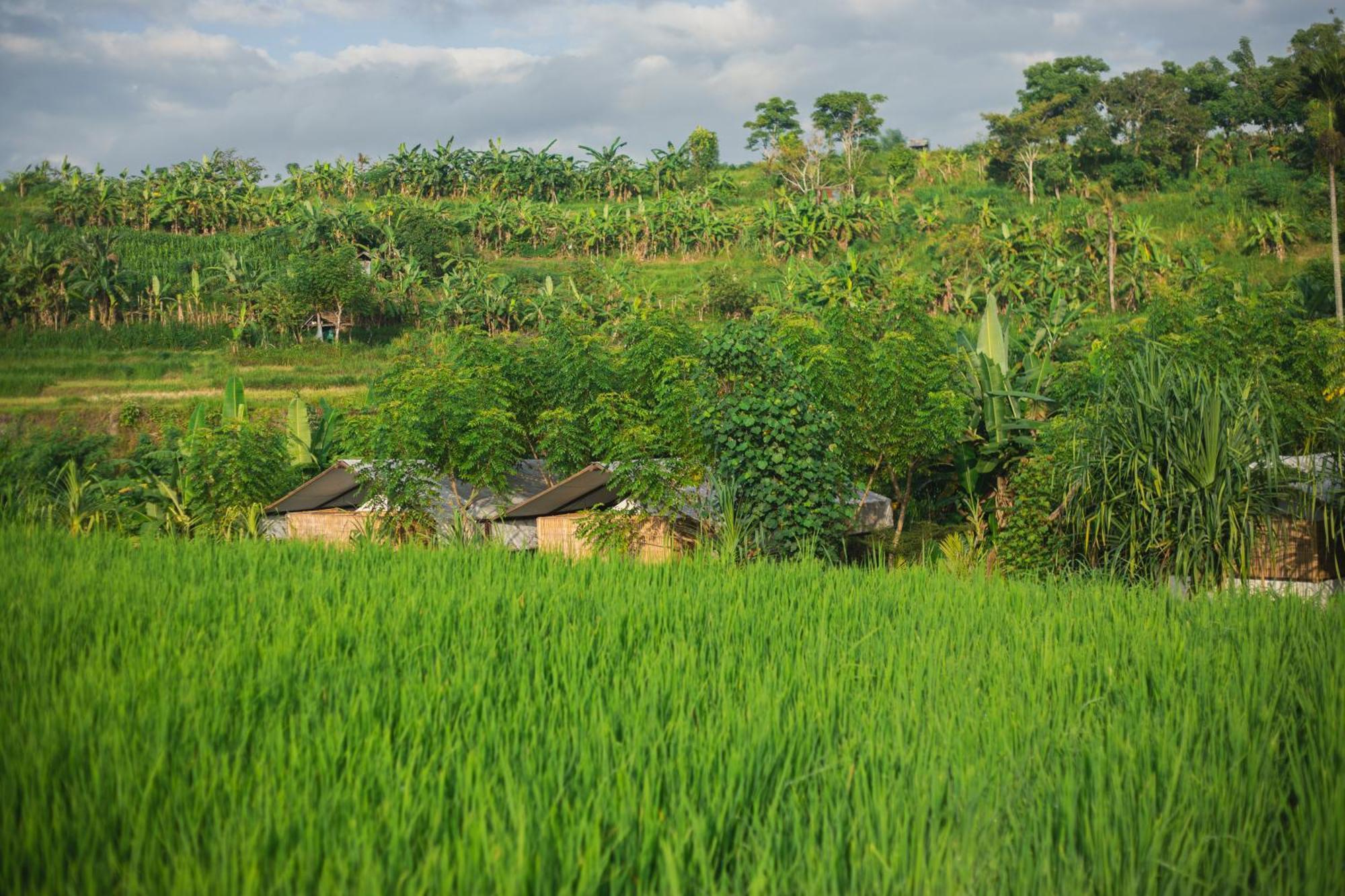 Camani Glamping Hotel Karangasem Buitenkant foto