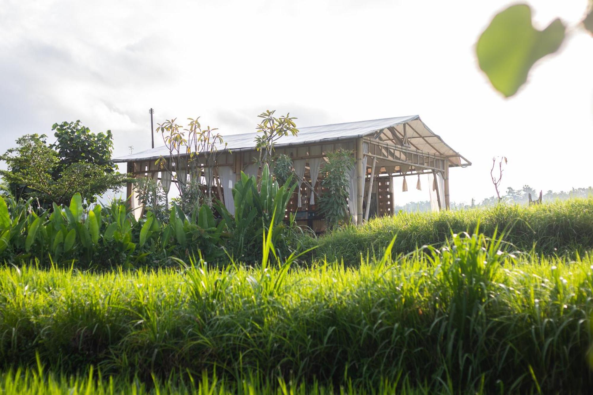 Camani Glamping Hotel Karangasem Buitenkant foto